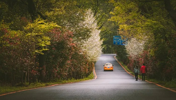 天蝎座的绝配星座