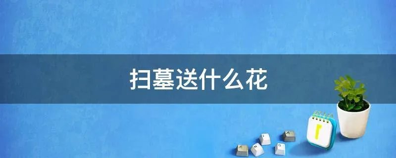 扫墓送什么花