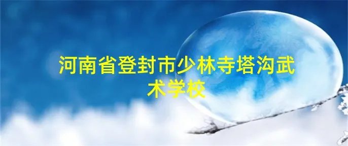 河南省登封市少林寺塔沟武术学校