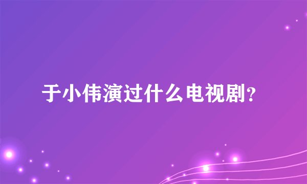 于小伟演过什么电视剧？