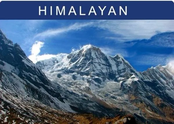 喜马拉雅矿盐的产生背景