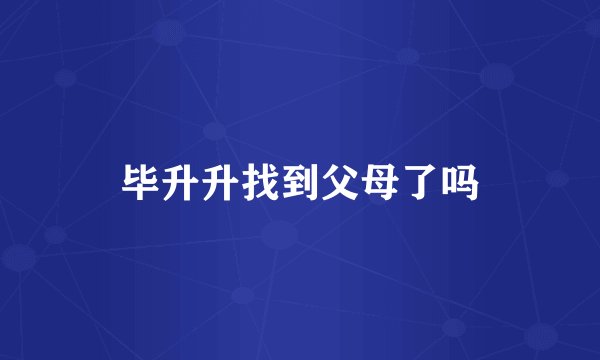 毕升升找到父母了吗