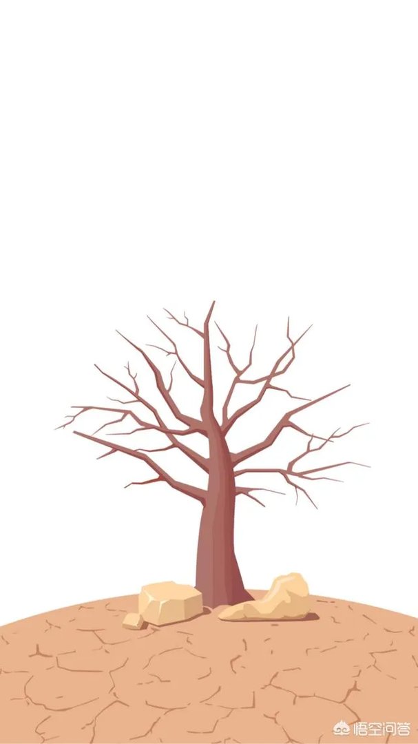 对于顺丰快递员私拆包裹一事,你怎么看?