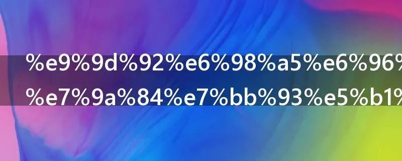 青春斗赵聪的结局