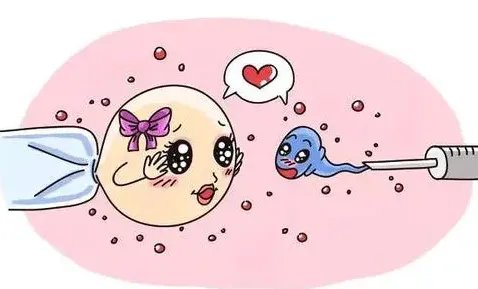 供卵试管宝宝-郑州一名18岁女子怀了八胞胎。 家属透露重要细节，婆婆表态引发热议