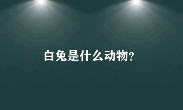 白兔是什么动物？