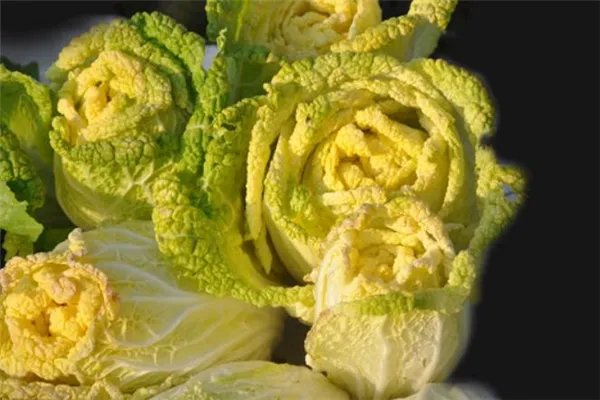 黄芽菜的做法 黄芽菜怎么做好吃