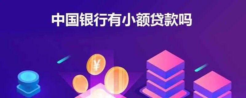 中国银行有小额贷款吗？