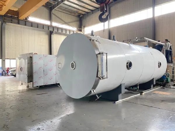 蔬菜冻干机冷冻真空干燥机冷冻干燥机自建要多少钱是怎么样的