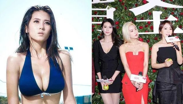 《演员的诞生》袁立事件闹得沸沸扬扬，你怎么看待演艺圈的那些事？