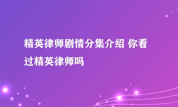 精英律师剧情分集介绍 你看过精英律师吗