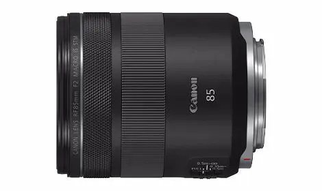 佳能RF 85mm F2微距镜头试拍简评