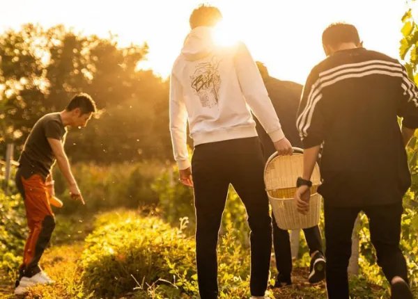 倪萍吐槽4位主持人全是废物,她为何这么敢说?