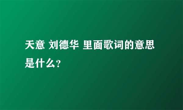 天意 刘德华 里面歌词的意思是什么？