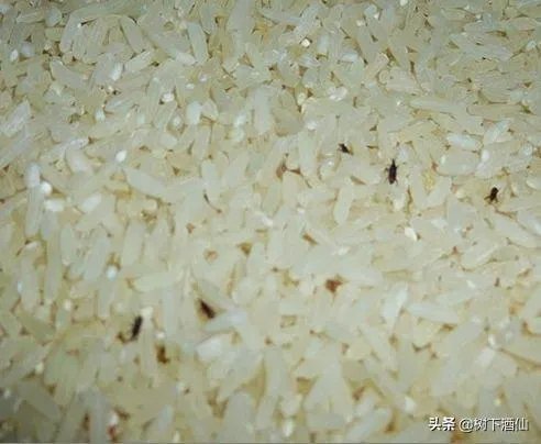 最近提倡节约粮食，你是否准备囤粮？