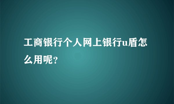 工商银行个人网上银行u盾怎么用呢？