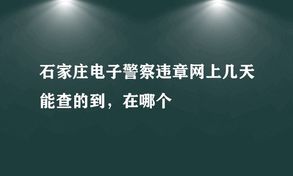 石家庄电子警察违章网上几天能查的到，在哪个
