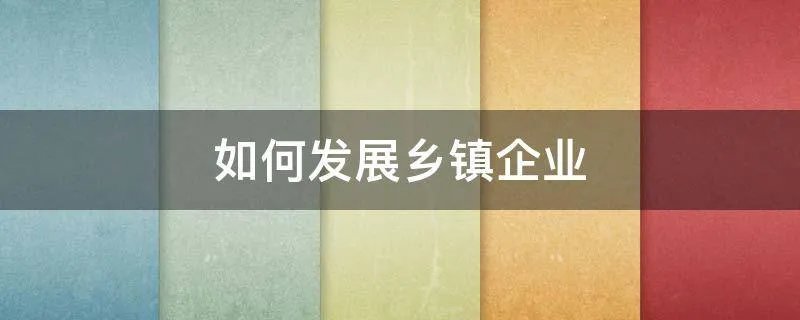 如何发展乡镇企业