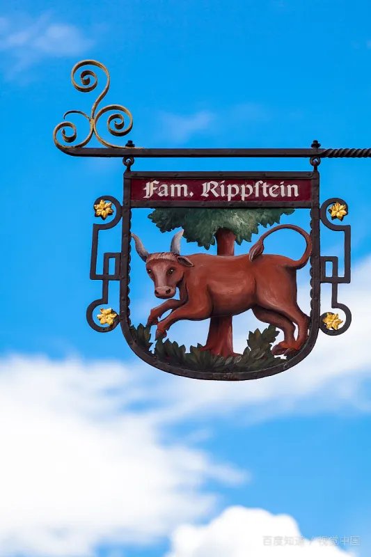 欧洲比利时留学生签证，可以在德国直接买机票回国吗？