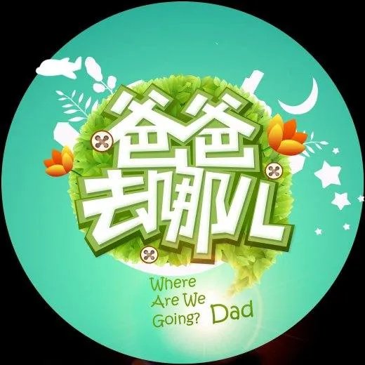 爸爸去哪儿5有哪些嘉宾？