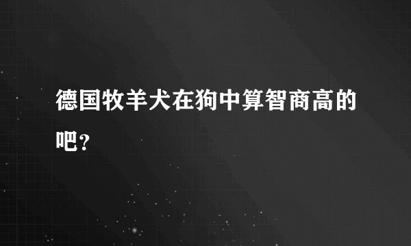 德国牧羊犬在狗中算智商高的吧？