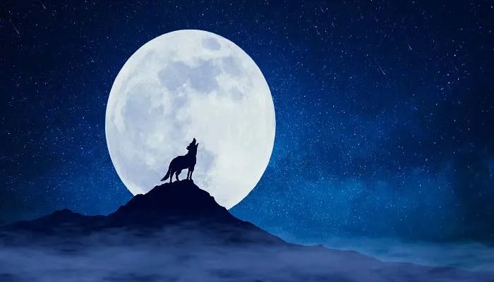 白眼狼的典故 白眼狼的典故出处