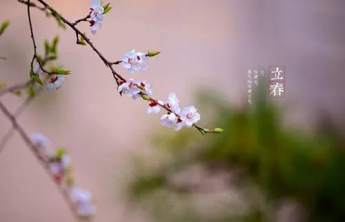 今年立春是几点