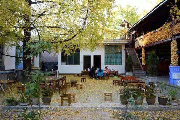 求安吉农家乐排名前十,哪些比较值得去?