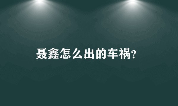 聂鑫怎么出的车祸？