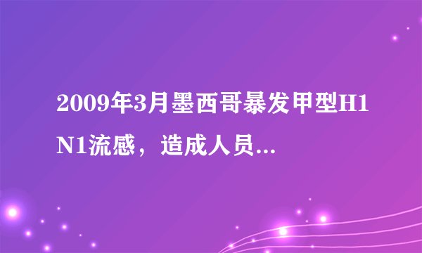 2009年3月墨西哥暴发甲型H1N1流感，造成人员死亡．2009年4月30日世界卫生组织宣布将其大流行警告级别提高