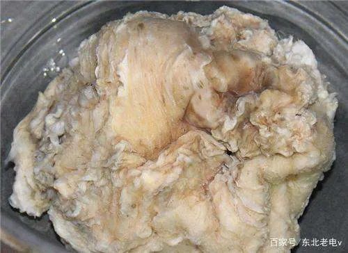 我们常说的“太岁”,到底是什么生物?