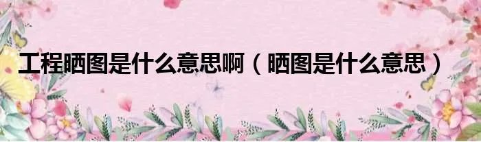 工程晒图是什么意思啊（晒图是什么意思）