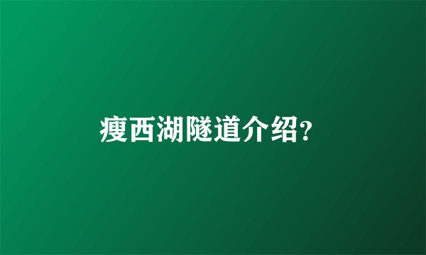 瘦西湖隧道介绍？