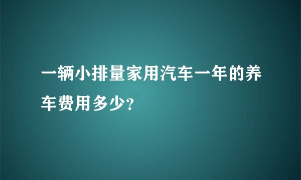 一辆小排量家用汽车一年的养车费用多少？