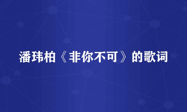 潘玮柏《非你不可》的歌词