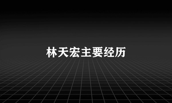 林天宏主要经历