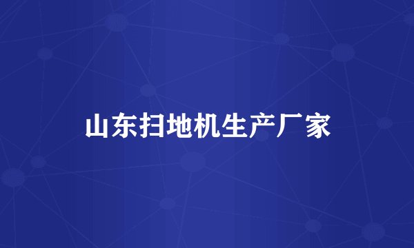 山东扫地机生产厂家