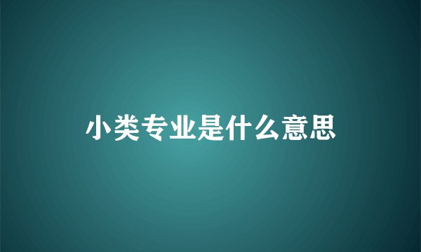 小类专业是什么意思