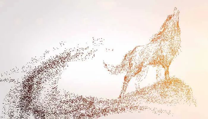 白眼狼的典故 白眼狼的典故出处