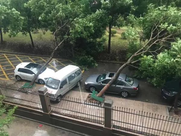 台风“美莎克”预计在什么时候登陆黑龙江？