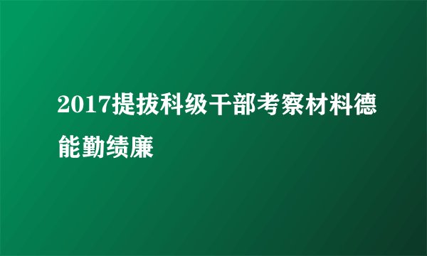 2017提拔科级干部考察材料德能勤绩廉