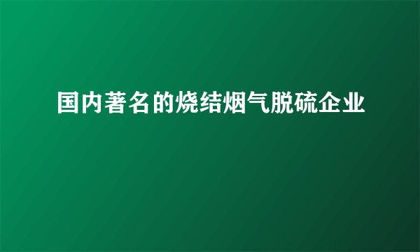 国内著名的烧结烟气脱硫企业