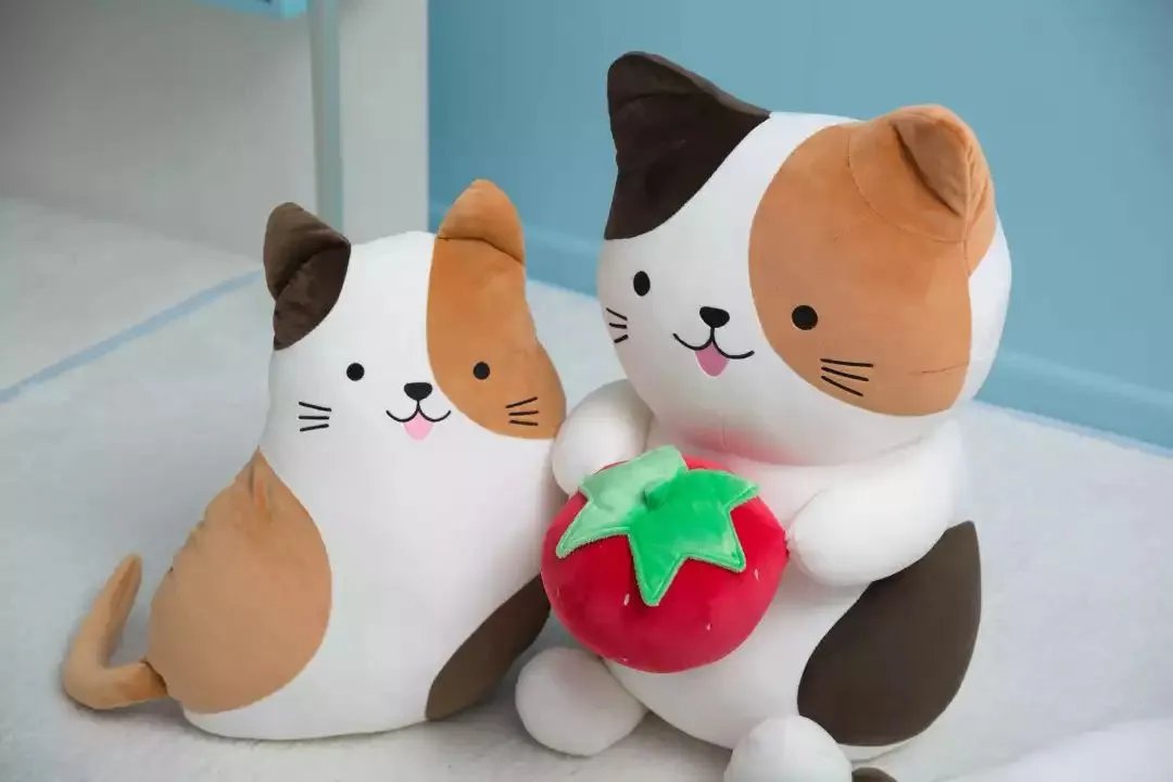 抱着我，你一定很舒服吧？