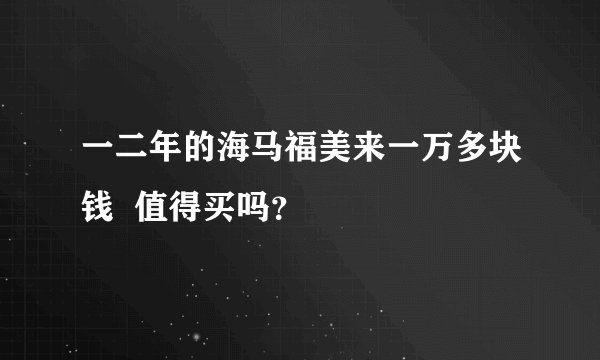 一二年的海马福美来一万多块钱  值得买吗？