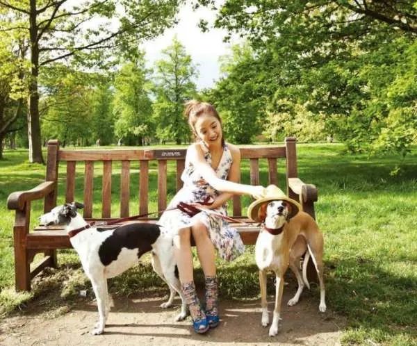 林依晨都演过哪些电视剧?