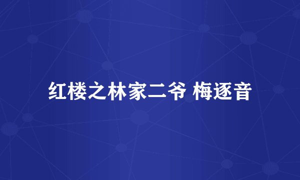 红楼之林家二爷 梅逐音