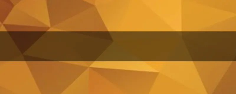 关于篮球单招的。