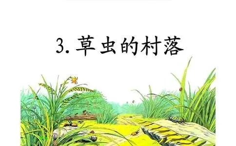 《草虫的村落》课文原文