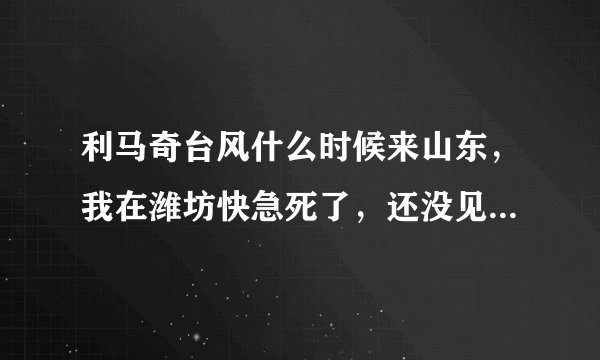 利马奇台风什么时候来山东，我在潍坊快急死了，还没见台风长啥样呢。