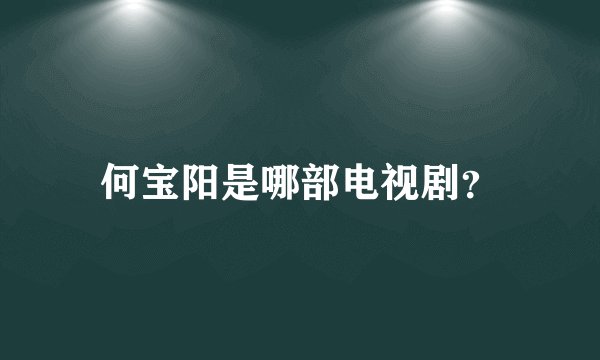 何宝阳是哪部电视剧？
